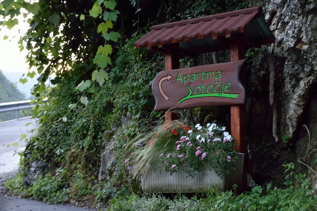 Apartment Sotocje Dolenja Trebusa Bagian luar foto